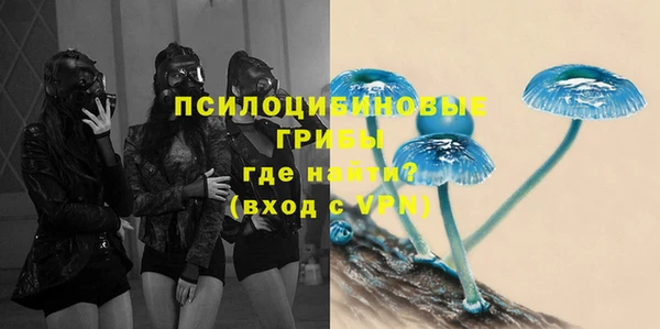 гашик Рославль