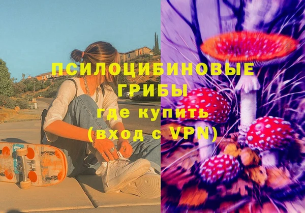 гашик Рославль